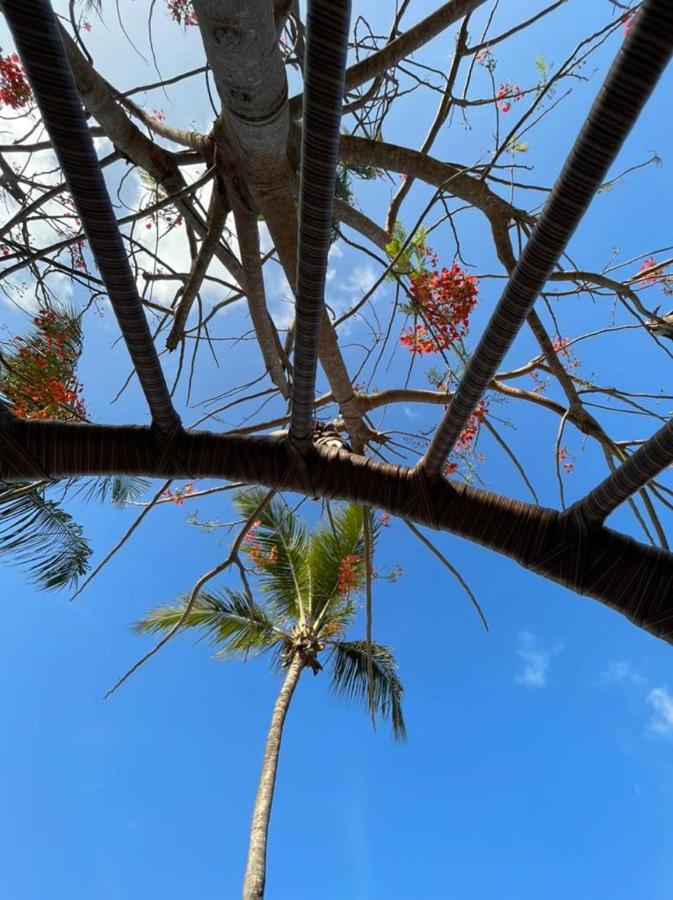 Enseada Dos Mares Beach Bungalows Sao Miguel do Gostoso Ngoại thất bức ảnh